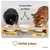 PiuPet Lot de 3 gamelles pour chat