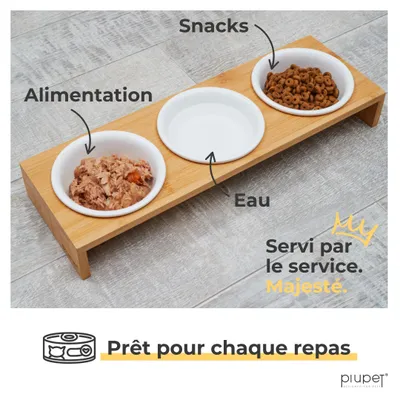 PiuPet Lot de 3 gamelles pour chat
