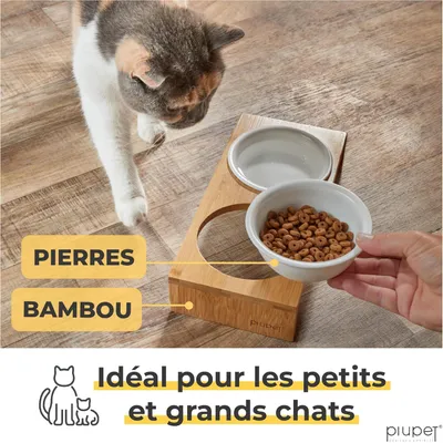 PiuPet Lot de 2 gamelles pour chat
