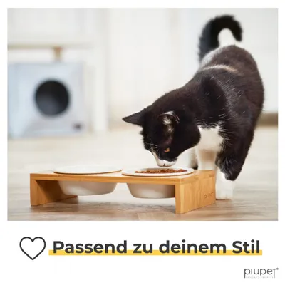 PiuPet Lot de 2 gamelles pour chat PiuPet Lot de 2 gamelles pour chat