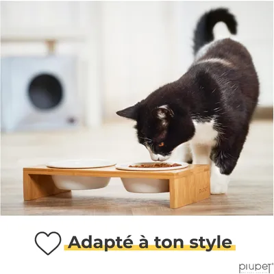 PiuPet Lot de 2 gamelles pour chat