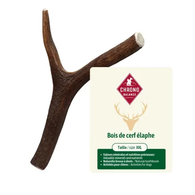 ChronoBalance - Barre en bois de cerf pour chien pièces entières