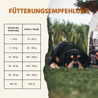Wildfang Adult Trockenfutter mit Wild - getreidefrei Wildfang Adult Trockenfutter mit Wild - getreidefrei