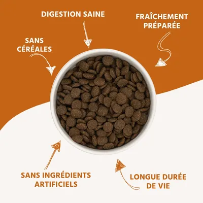 Wildfang® Croquettes adultes à l'agneau - sans céréales