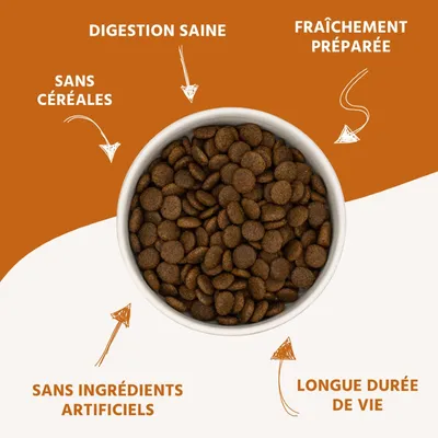 Wildfang® Canard à la patate douce et à l'orange | Sans céréales