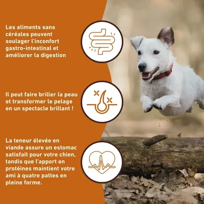Wildfang® Croquettes adultes au sauvage - sans céréales