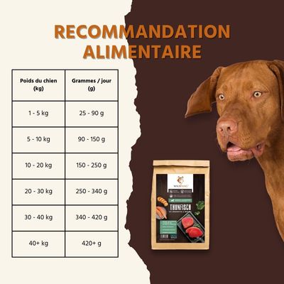 Wildfang® Croquettes adultes au tuna - sans céréales
