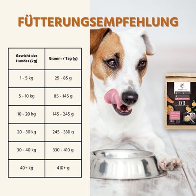 Wildfang Adult Trockenfutter mit Ente - getreidefrei