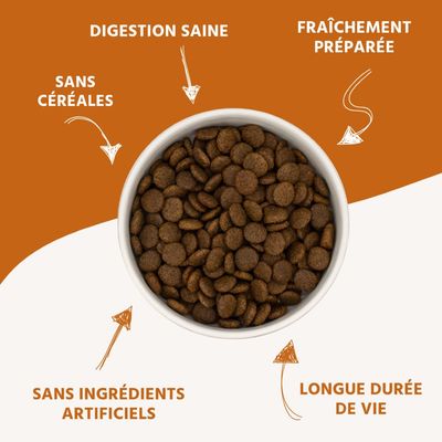 Wildfang® Canard à la patate douce et à l'orange | Sans céréales