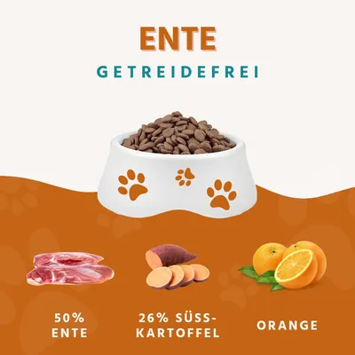 Wildfang® Canard à la patate douce et à l'orange | Sans céréales Wildfang® Canard à la patate douce et à l'orange | Sans céréales