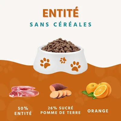 Wildfang® Canard à la patate douce et à l'orange | Sans céréales