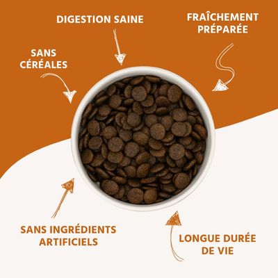 Wildfang® Croquettes adultes au sauvage - sans céréales