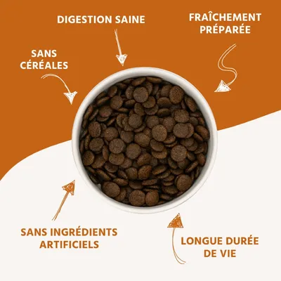 Wildfang® Croquettes adultes au sauvage - sans céréales