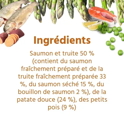 Wildfang® Croquettes Maxi Adult au saumon et à la truite - sans céréales