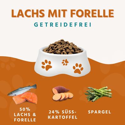 Wildfang Adult Trockenfutter mit Lachs und Forelle - große Hunderassen