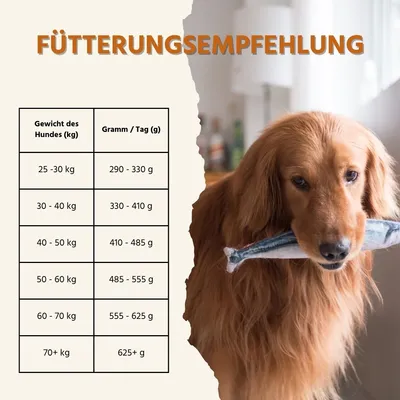 Wildfang Adult Trockenfutter mit Lachs und Forelle - große Hunderassen Wildfang Adult Trockenfutter mit Lachs und Forelle - große Hunderassen