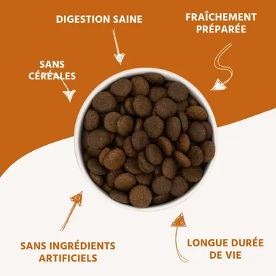 Wildfang® Croquettes Maxi Adult au saumon et à la truite - sans céréales