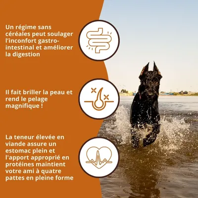 Wildfang® Croquettes Maxi Adult au saumon et à la truite - sans céréales