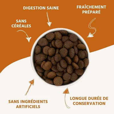 Wildfang® Maxi Adult Croquettes au Saumon et à la Truite – sans céréales