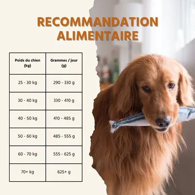 Wildfang® Maxi Adult Croquettes au Saumon et à la Truite – sans céréales