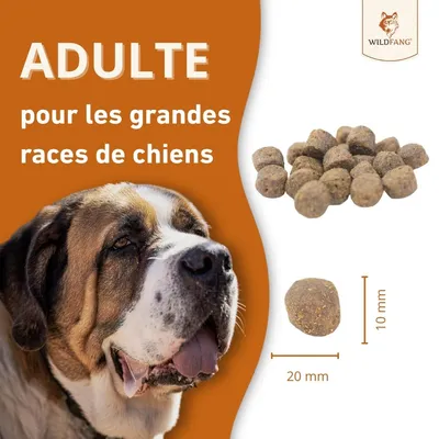 Wildfang® Maxi Adult Croquettes au Saumon et à la Truite – sans céréales