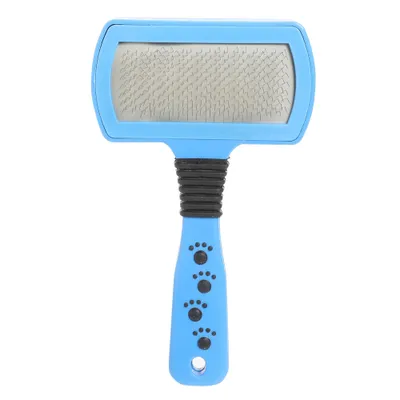 Mon Ami Luki - Brosse carde design