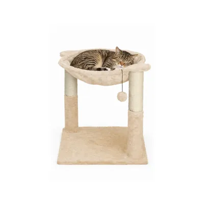 Mon Ami Luki - Arbre a chat arrondi griffoir et jouet integre