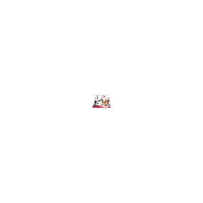 Mon Ami Luki - Arbre a chat