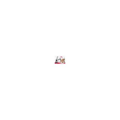 Mon Ami Luki - Arbre a chat