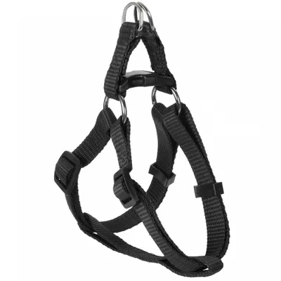 Mon Ami Luki - Harnais nylon chiens