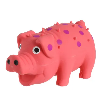 Jouet latex cochon picots
