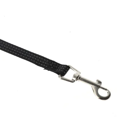 Mon Ami Luki - Laisse nylon protection