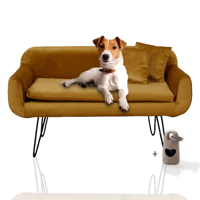 Rohrschneider Canapé pour chien rembourré avec pieds en métal
