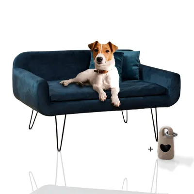 Rohrschneider Canapé pour chien rembourré avec pieds en métal