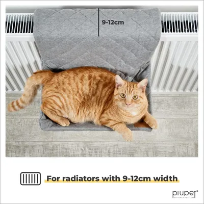 PiuPet Chaise longue chauffante pour chats
