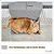 PiuPet Chaise longue chauffante pour chats PiuPet Chaise longue chauffante pour chats