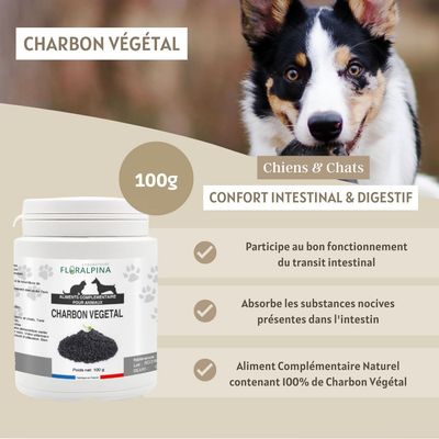 Charbon végétal 100g - Laboratoire Floralpina