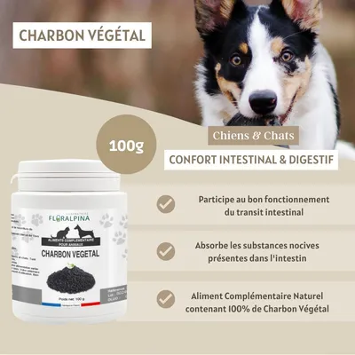 Charbon végétal - Laboratoire Floralpina