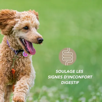 Complexe Vers Bio - Laboratoire Floralpina