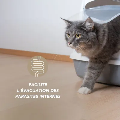 Complexe Vers Bio - Laboratoire Floralpina