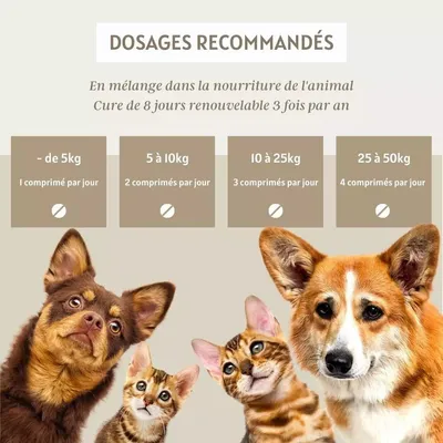 Comprimés Répuls' Vers – Floralpina