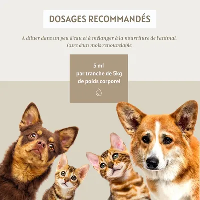 Liquide complexe épiderme - Laboratoire Floralpina