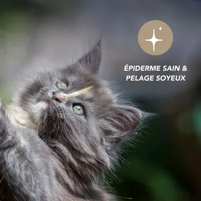 Liquide complexe épiderme - Laboratoire Floralpina