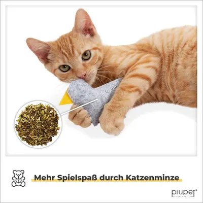 PiuPet® Katzenspielzeug 4er Set I Katzenminze Spielzeug I Baldrian Kissen PiuPet® Katzenspielzeug 4er Set I Katzenminze Spielzeug I Baldrian Kissen