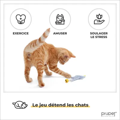 PiuPet® Jouet pour Chat avec Herbe à Chat I Lot de 4 I Accessoires Chat