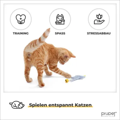 PiuPet® Katzenspielzeug 4er Set I Katzenminze Spielzeug I Baldrian Kissen PiuPet® Katzenspielzeug 4er Set I Katzenminze Spielzeug I Baldrian Kissen