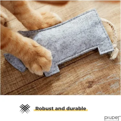PiuPet® Jouet pour Chat avec Herbe à Chat I Lot de 4 I Accessoires Chat