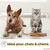 PiuPet® Peigne Anti-Puces pour Chat/Chien I Sans Plastique I Anti-Tiques