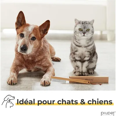 PiuPet® Peigne Anti-Puces pour Chat/Chien I Sans Plastique I Anti-Tiques