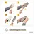PiuPet® Brosse Anti-Poils Animaux I Autonettoyante I Pour Vêtements PiuPet® Brosse Anti-Poils Animaux I Autonettoyante I Pour Vêtements